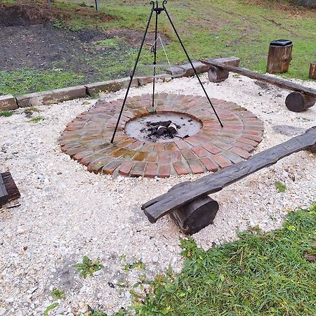 Idzikow Magnoliowy Zakatekヴィラ エクステリア 写真