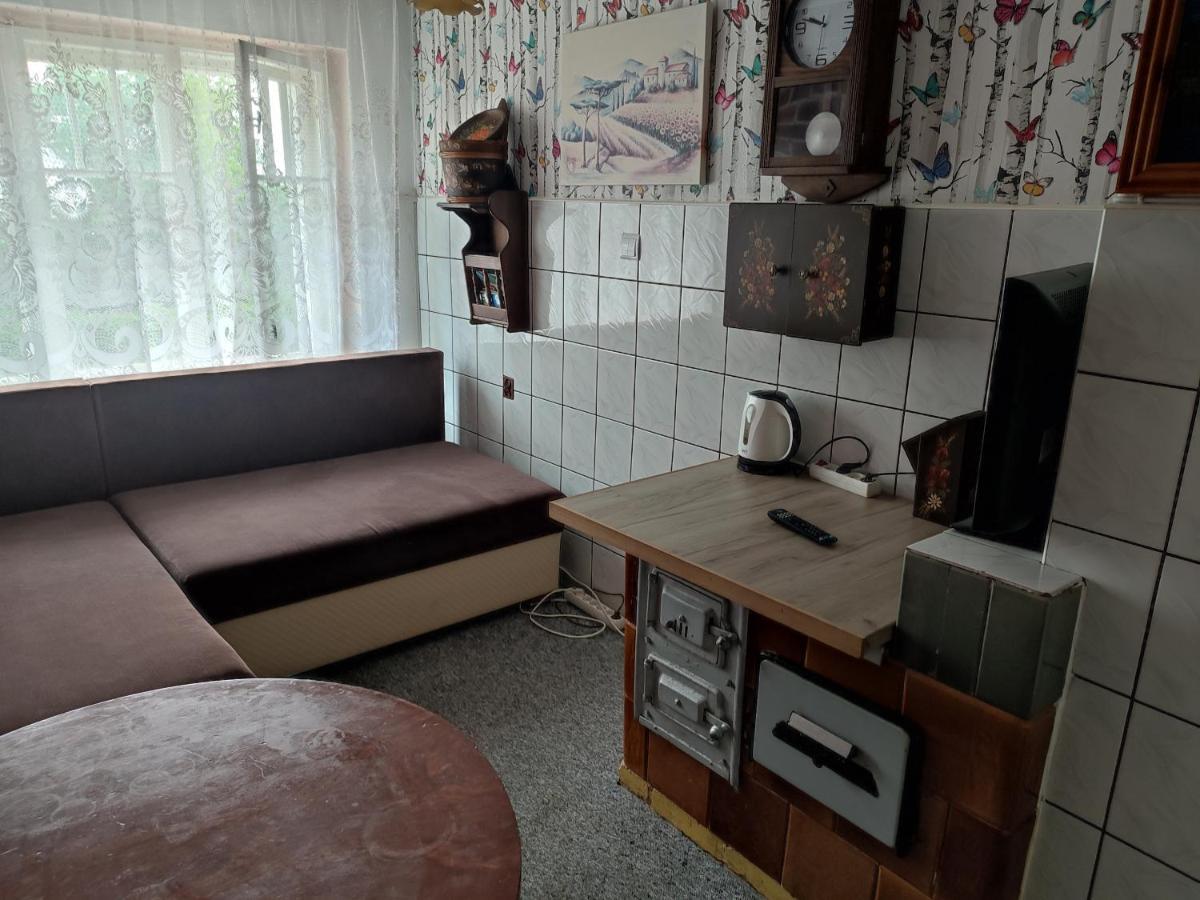 Idzikow Magnoliowy Zakatekヴィラ エクステリア 写真